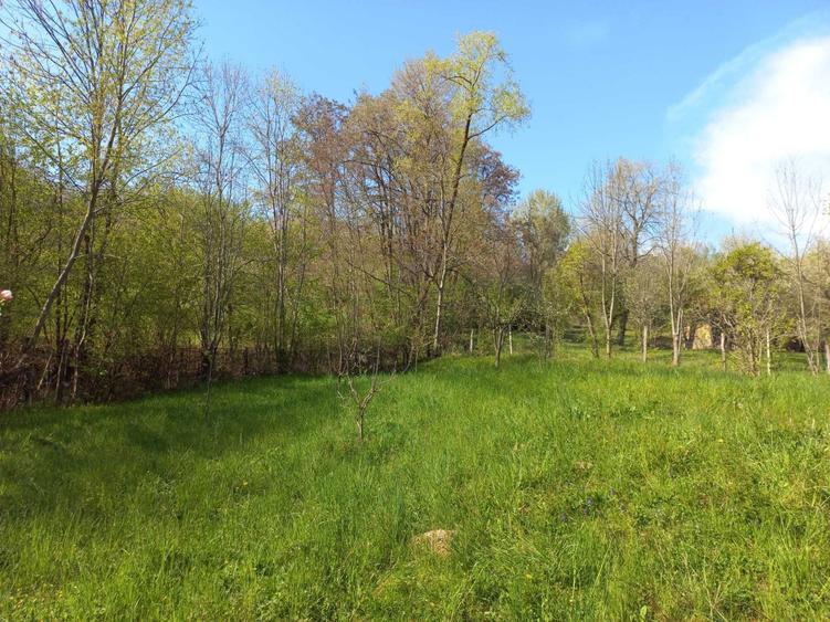 Teren de vanzare - 5