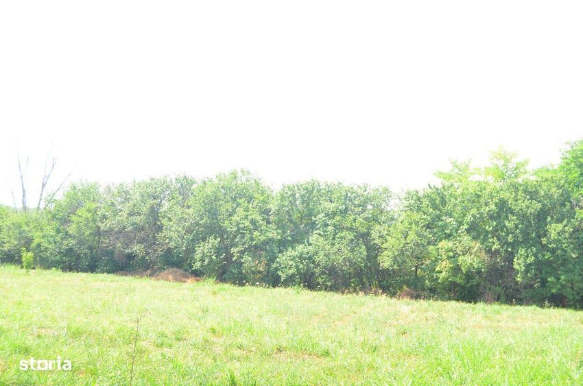 Casa de locuit 5 camere ,mobilata si utilata-Radila-Valea Calugareasca - 4