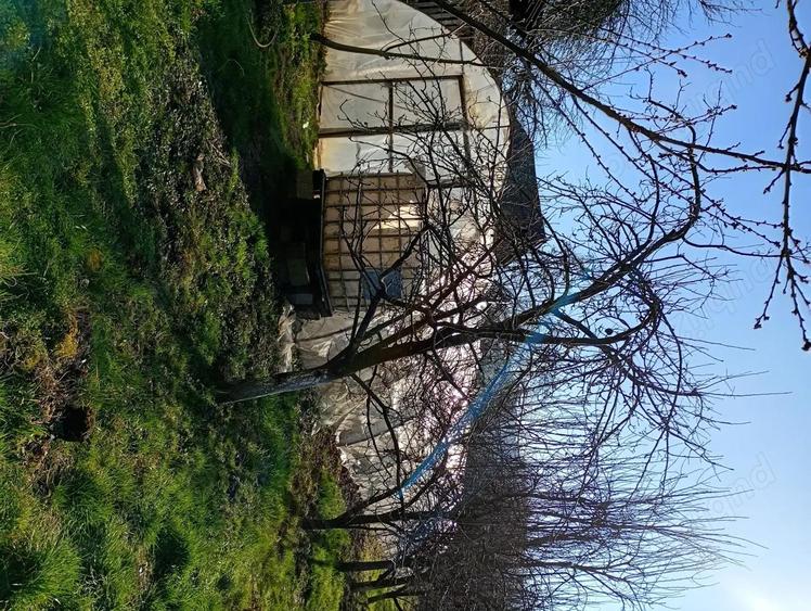 Vand casa in Comuna Ulmeni sat Chelinta - 3