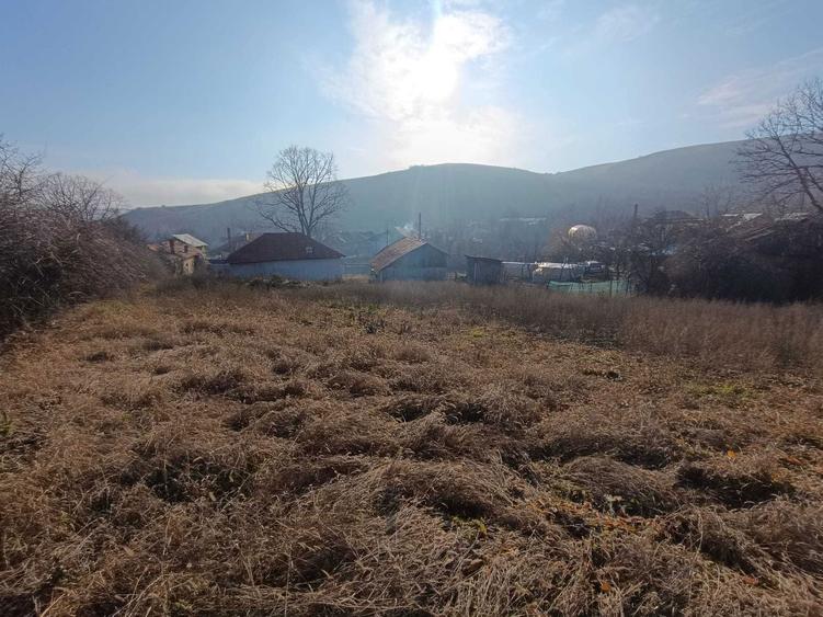 Doua terenuri de vanzare + doua case - 6