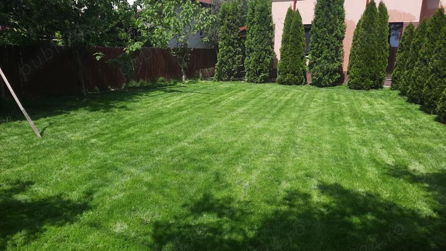 Casa Adunatii Copaceni - 1