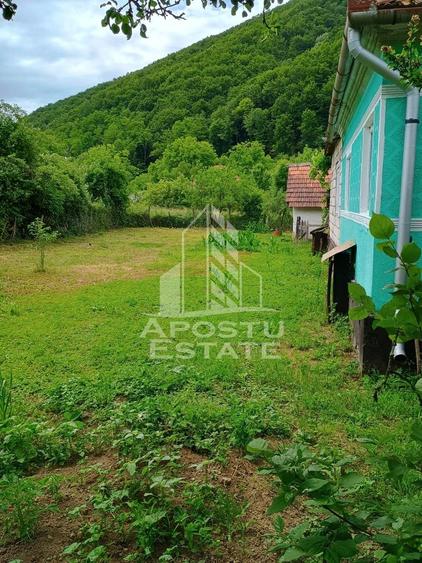 Casa batraneasca de vanzare, 4 camere, in Hunedoara, sat Micanesti - 8
