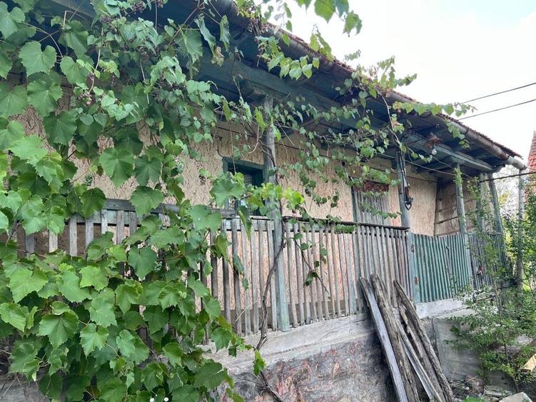 Casa in zona pitoreasca, Patars, Judet Arad - 4
