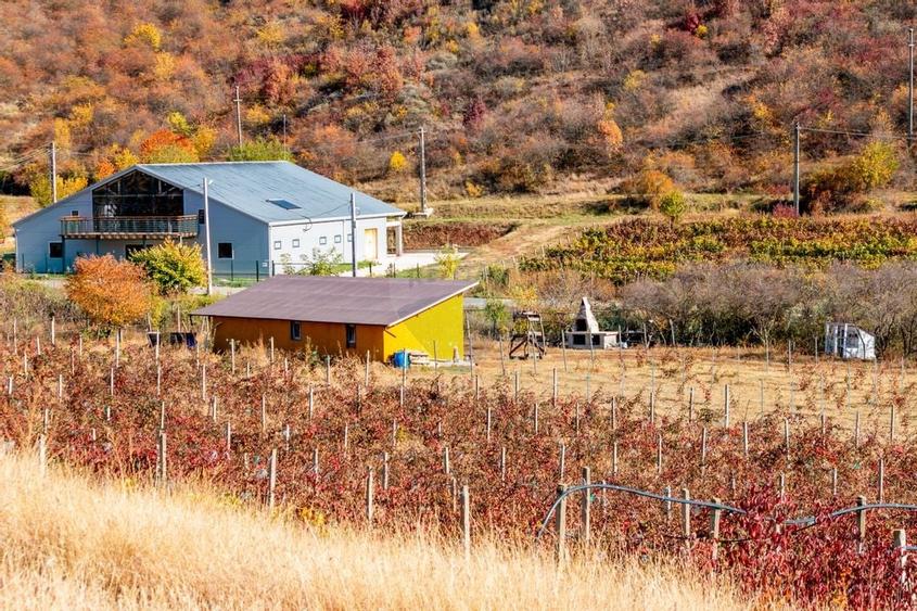 Oportunitate de investitie - Teren de vanzare I 4 ha I certificat ECO - 5