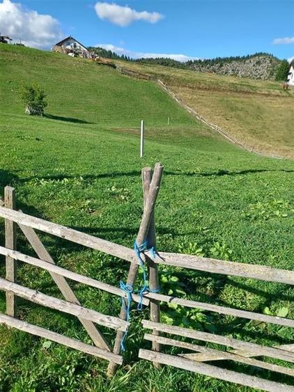 Teren Intravilan Fundata 1421Mp - 4