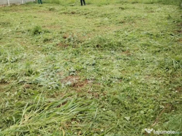 Teren casa individuala, Dumbravi?a - 2