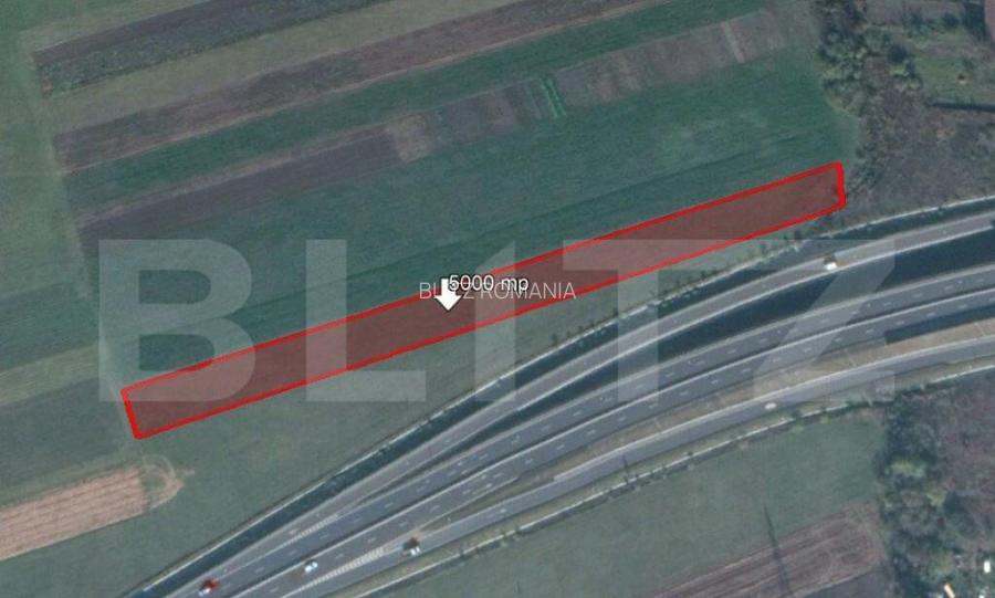 Teren de 5000 mp, Stupini