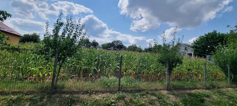 Teren intravilan in Zaicesti zona Conacului cu latura de padure - 3