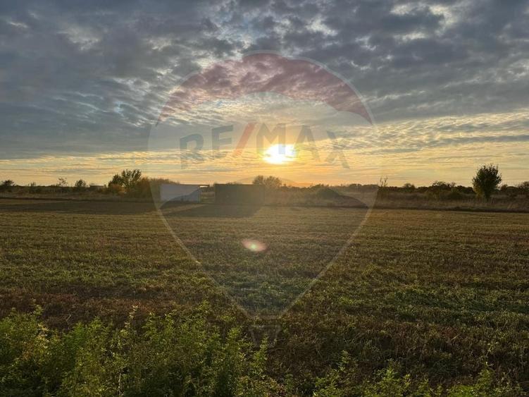 Teren 438mp in Bujac-Arad - 1