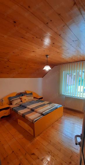 Se vinde casa de vacan?a cu vedere la munte in Valea Manastirii, Rame?i, jude?ul Alba - 4