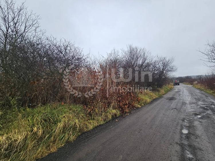 Teren intravilan 1072mp cu puz aprobat | Borhanci | Romul Ladea! - 4