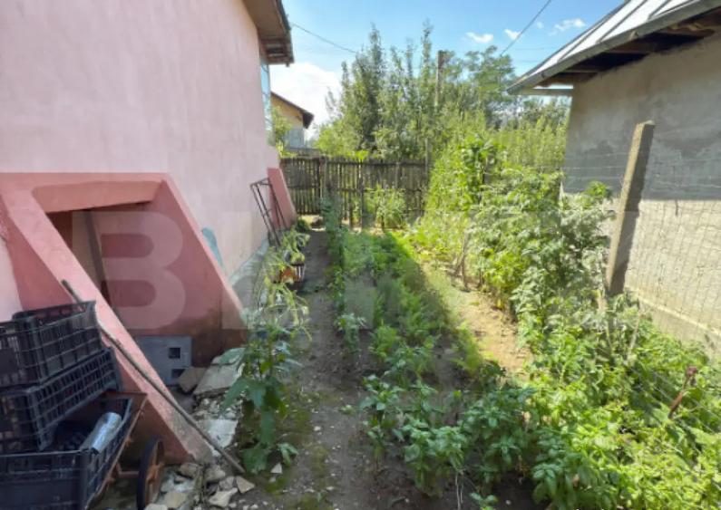 Casa cu teren 1000 m Drajna - 9