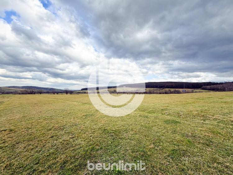 Teren intravilan in Tocile - 49 euro/mp - 4354 m² - 2 fronturi - 16