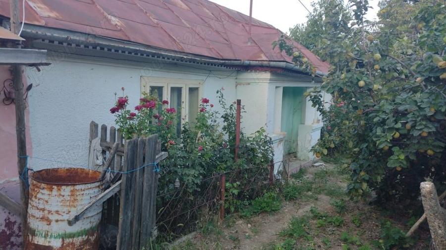 Casa batraneasca cu teren arabil si padure - 2
