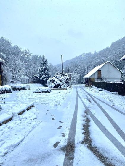 Teren intravilan 5660 mp - 5