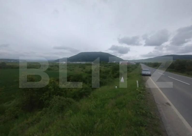 Teren extravilan de vanzare, 51 ari, zona Crainimat - 4