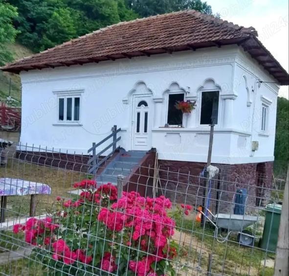 Vand casa Salatrucu Arges ! - 2