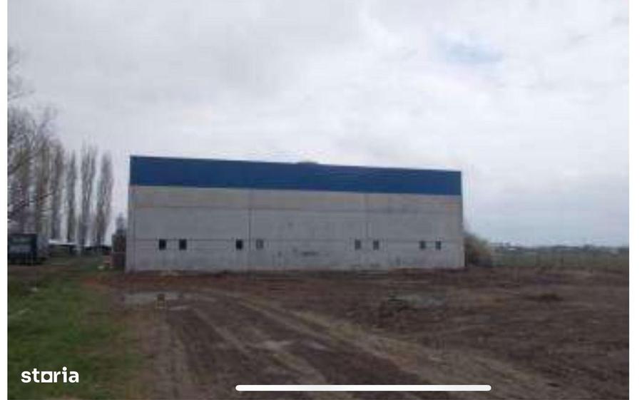 HUB Logistic intermodal 9,1 ha acces direct la DN 59/E70 JEBEL ,Timis - 1