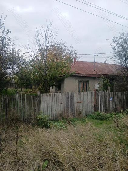 Casa de vanzare copaciu Giurgiu - 7