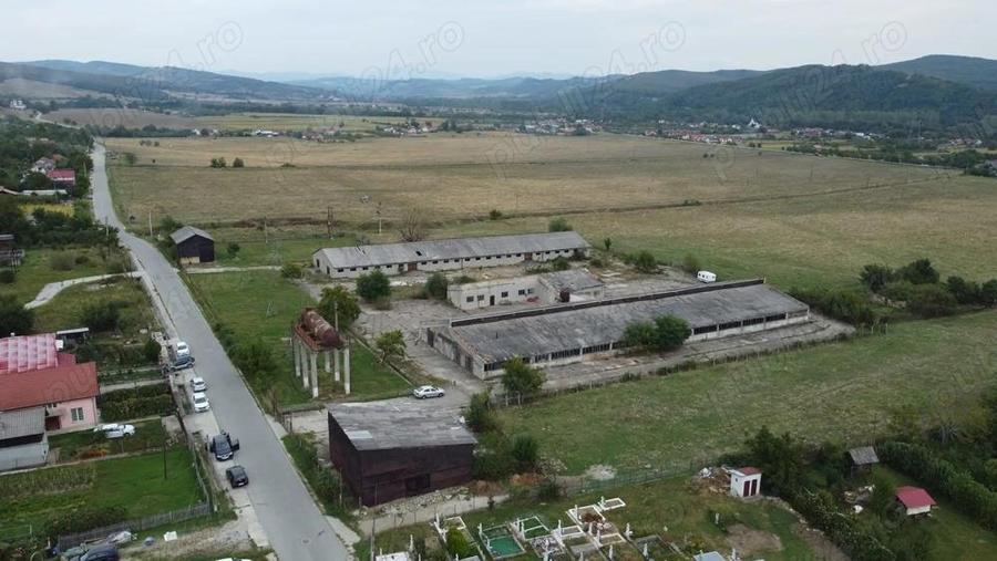 Hale de vanzare in comuna Ciofrangeni, jude? Arge?. - 5