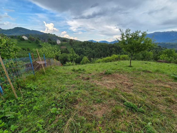 Comision 0%, TEREN INTRAVILAN SAT PESTERA BRASOV - 5