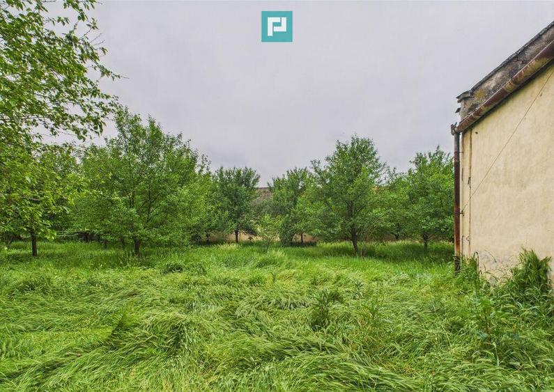 Casa de reabilitat pe teren generos- Comuna Varia? - 7