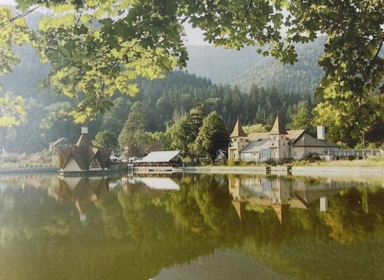 Vila la rosu - 15 camere, 700mp Baile Tusnad, Harghita - 8