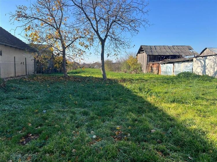 RECO Teren Unicat Sosea Nojorid - 6