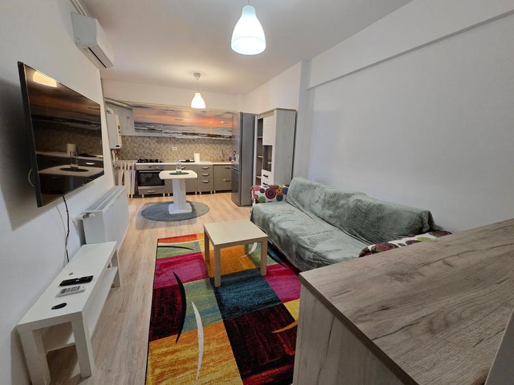 Inchiriere Apartament 2 Camere Pacii Rotar Park - 3