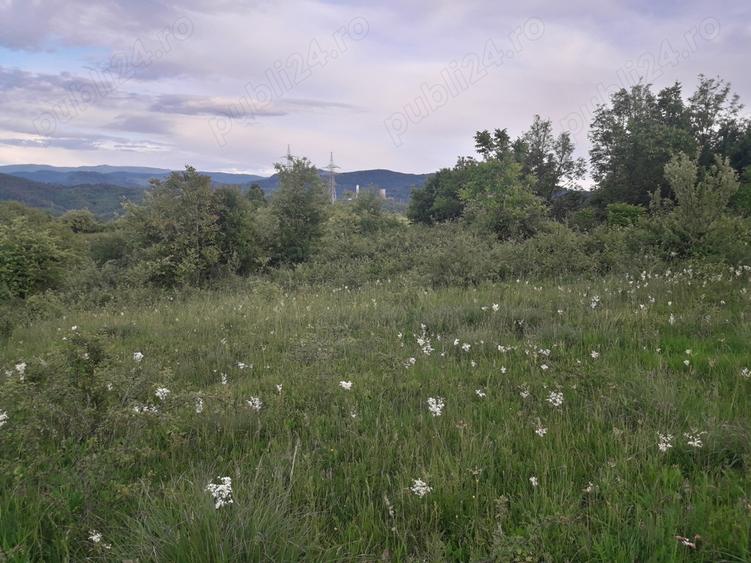 Teren Resita 4350 mp centura Resitei Terova-km 8 negociabil - 3