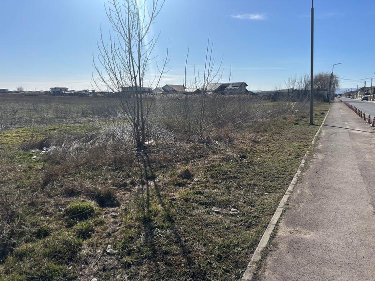 Teren Petresti - Vanatori - 1