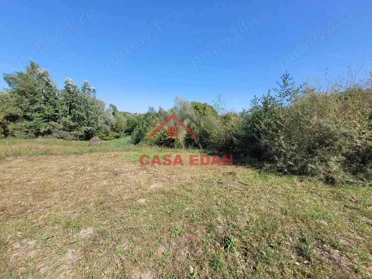 Teren intravilan in Poiana Campina 4285 mp parcelabil 11,6e - 9
