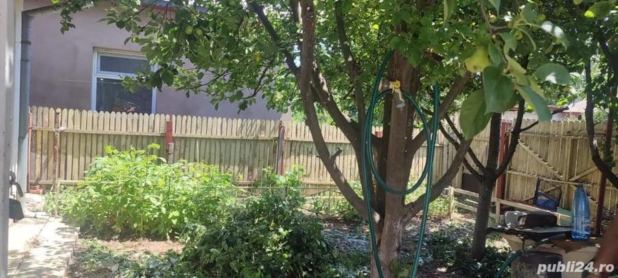 Vand casa Comuna Floresti, Jud.Giurgiu - 6