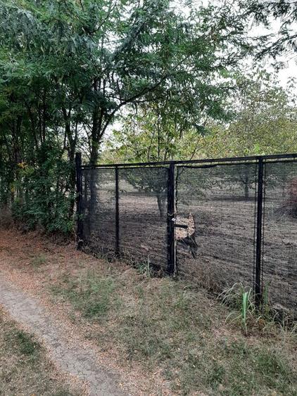 Teren str Casa Apelor - 3