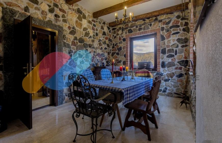 Complex  Printesa din Carpati  - Oportunitate de Investitie Unica pe Valea Aries - 16