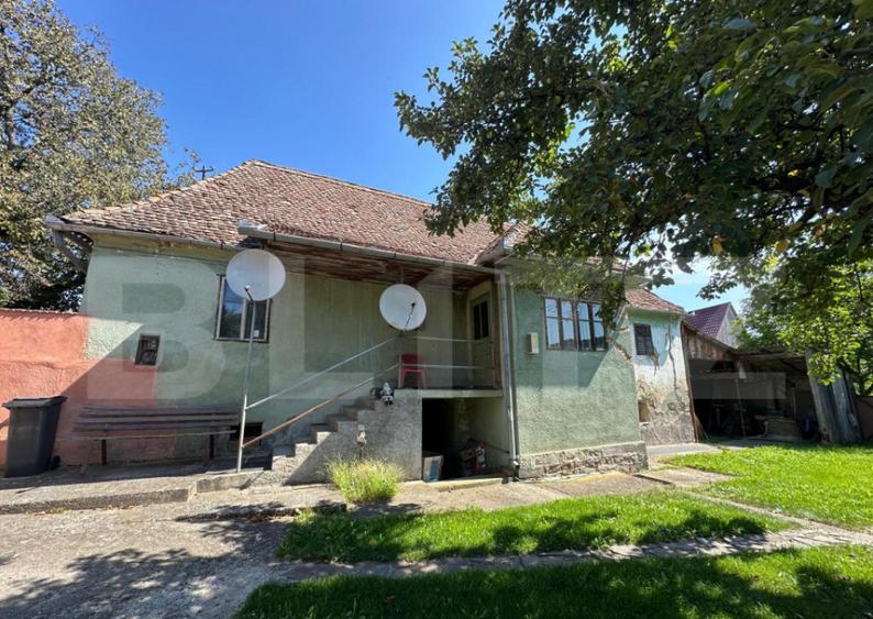 Casa saseasca de vanzare, curte, gradina, teren 3000 mp - Ji - 2