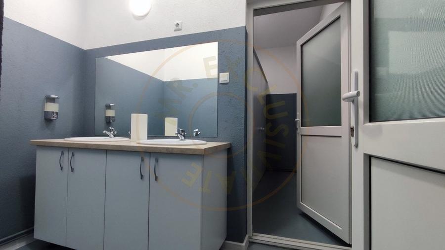 Inchiriere Spatii de Birouri/Productie - Str. Uzinei - Carei - Comision 0% - 6