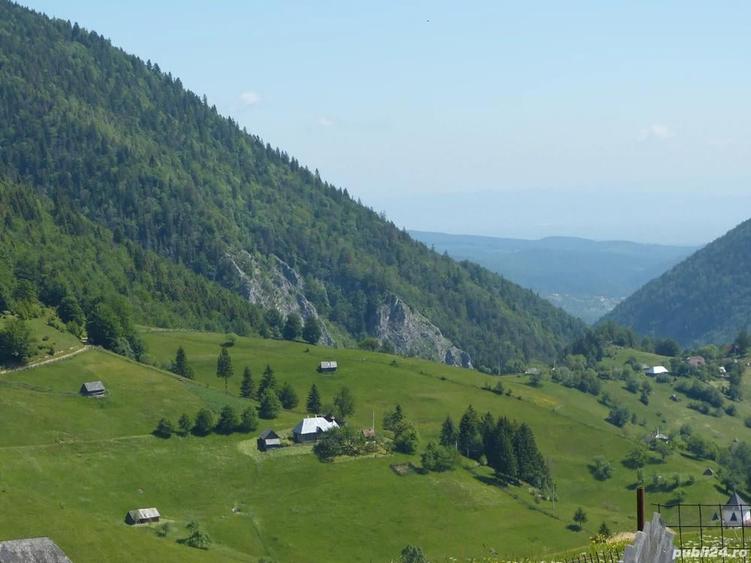 Ocazie! Vand cabana de bustean masiv in sat Pestera, com Moieciu, Brasov - 9