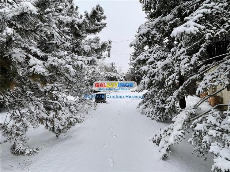 Otopeni Ana Aslan Str Valea Pasarii P+1 SU 340 mp teren 1500 mp - 5