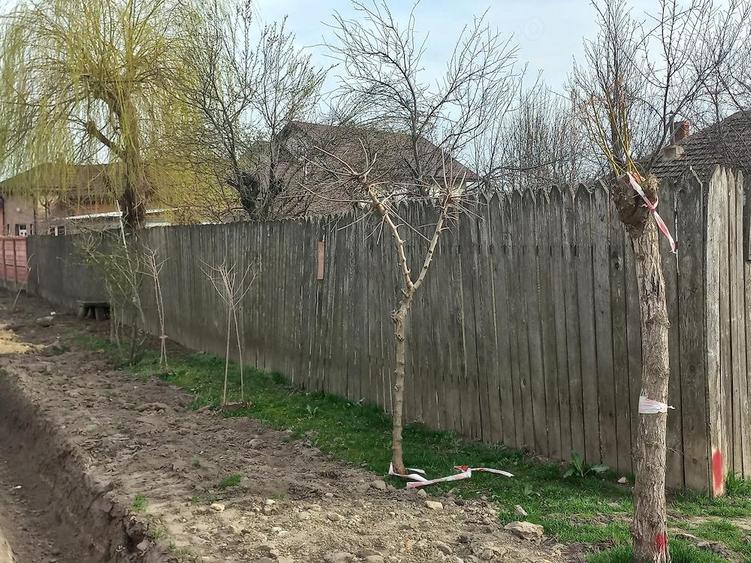 Vand urgent 2 case in aceea?i curte in BARCA, Dolj la 40 km de Craiova - 5