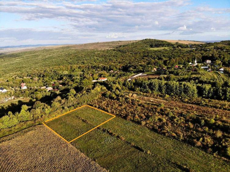 2 parcele Padureni aprx 1100 mp fiecare - 2