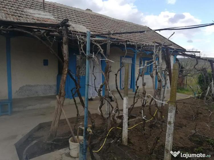 Casa de vanzare balabancea,tulcea - 8