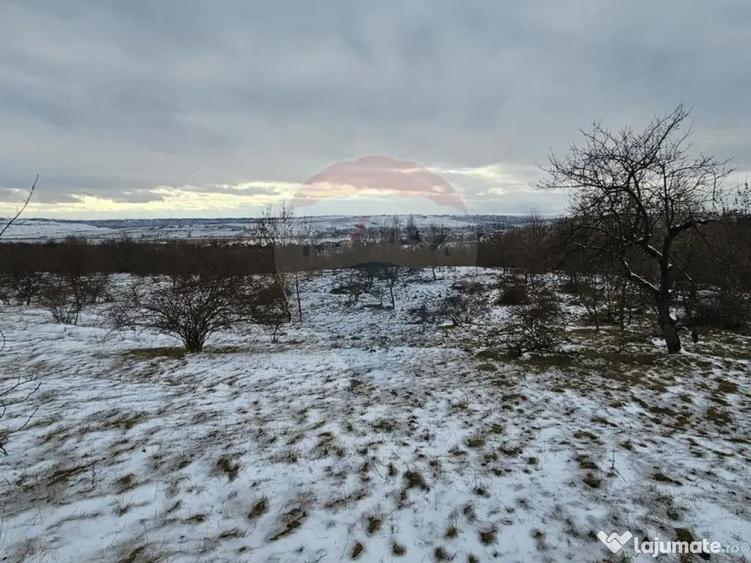 Teren 10,000mp Rada?eni / ?oseaua DN2-E85, jude?ul S... - 2