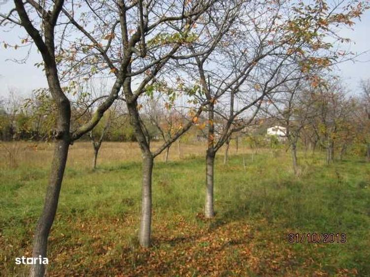 Teren de 4860 mp, în Central