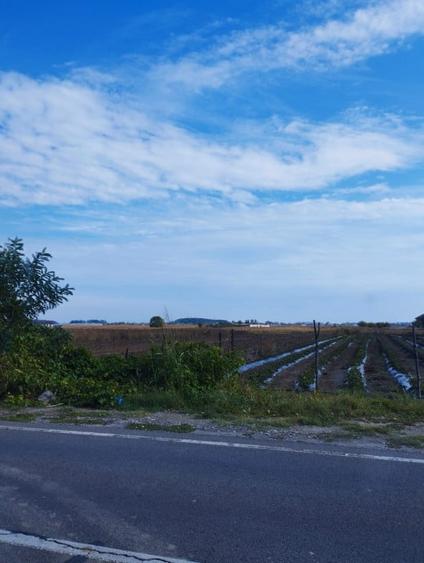 SUPER OCAZIE SE VINDE TEREN PARCELABIL 2000MP IN ZONA 1 DECEMBRIE IF 28 EURO/MP - 1