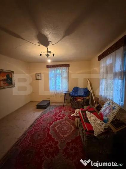Proprietate completa in Sacuieni- Doua Case + Anexe - 2