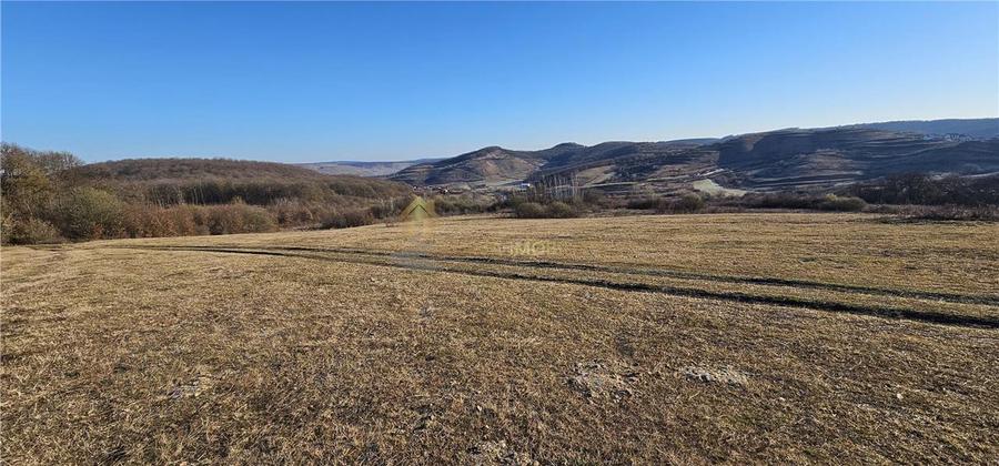 TEREN EXTRAVILAN 6119 MP TAUTI - 3