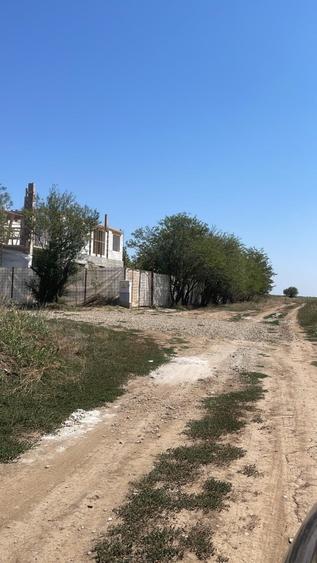 Teren intravilan Dascalu , 18000 m /17€ m2  - 4