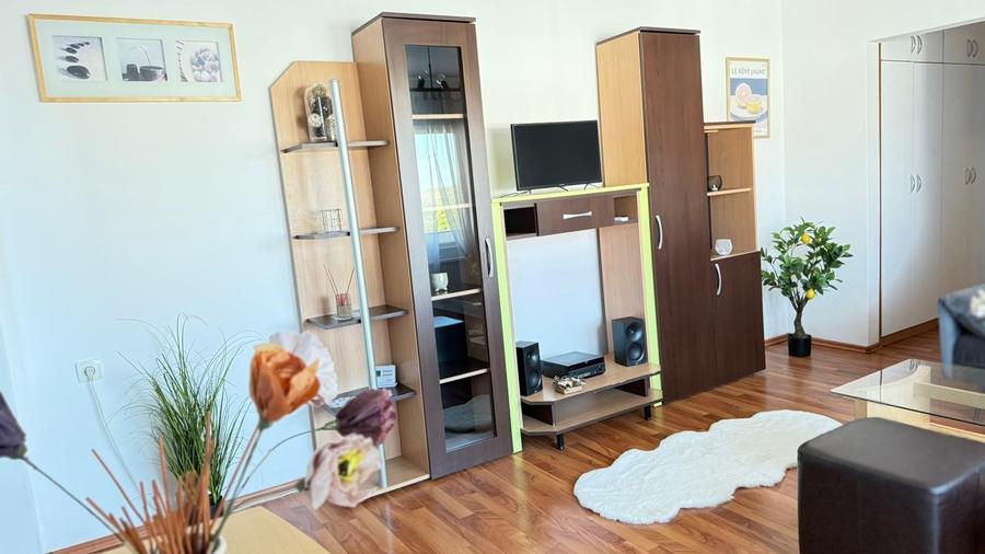 Apartament de închiriat, 2 camere, 50 mp, Gheorgheni zona Constatin Brâncuși - 9