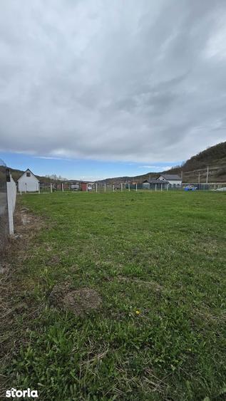 Teren drept ca-n palma - 3